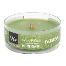 WoodWick petite Evergreen