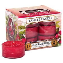 Yankee candle čaj.sv.12ks Red Raspberry