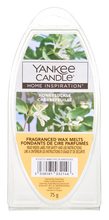 Yankee candle Honeysuckle - vosk 75g