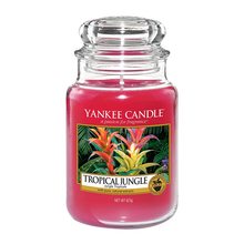 Yankee candle sklo Tropical Jungle
