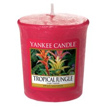 Yankee candle votiv Tropical Jungle